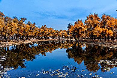 《迪士尼梦幻星谷：玩具总动员》扩展12月6日推出